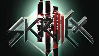 Cinema  Skrillex Lyrics in Description [upl. by Remos]