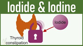 Iodide and Iodine  Mechanism of Action Uses Side Effects  Pharmacology [upl. by Horst]