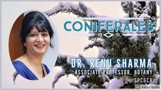 Coniferales  Dr Renu Sharma [upl. by Hnirt938]