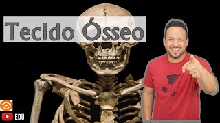 Tecido Ósseo  Características e Funções  Tecido Conjuntivo Especial  Histologia Animal [upl. by Eiruam]