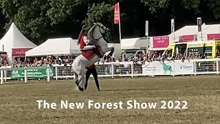 The New Forest Show 2022 [upl. by Nawaj585]