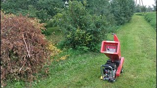 Urban Wood Chipper Hecht 6208  more birch [upl. by Demodena]