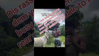 Jamaican young man tell donkey He’s going to SA him [upl. by Coplin]