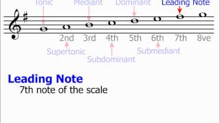 Technical Names of Scale Notes Music Theory [upl. by Viguerie850]