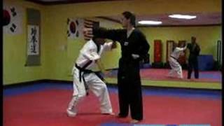 Hapkido Techniques  Hapkido Defense Against a Straight Punch Part 3 [upl. by Lulu123]