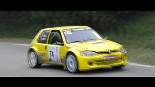 RALLYE VINS DU GARD 2014 [upl. by Artiek]