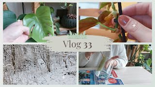 🌿VLOG 33  TUTEURAGE soins des plantes BALADE moments cosy [upl. by Keldon]