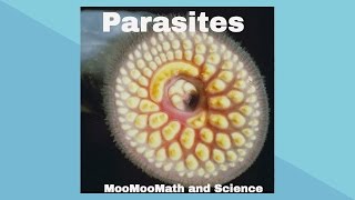 ParasitesSymbiotic Relationships [upl. by Joachima]