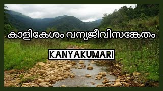 Kalikesam Wildlife Sanctuary  Kanyakumari Wildlife Sanctuary  Keeriparai Reserve Forest [upl. by Aneloj]