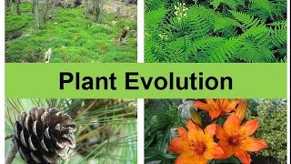 Plant Evolution updated [upl. by Gabrielli]