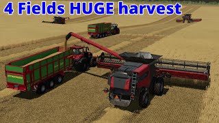 🛑NEW SERIES🛑 4 Fields start with a big Harvest 🤩 [upl. by Grant187]