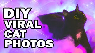 Photoshoots with My Cat [upl. by Nnovahs]