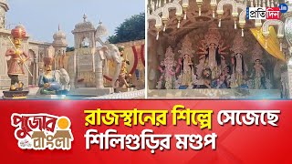 Durga Puja 2023 Siliguri Central Colony Durga Puja Committees preparation in full swing [upl. by Anirpas]