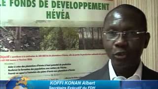 FDH Fonds de Développement Hévéa en Côte dIvoire [upl. by Petigny]