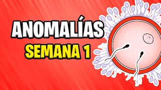 💀 ANOMALÍAS y COMPLICACIONES de la Primera Semana de Gestación 🤰 [upl. by Aratehs]