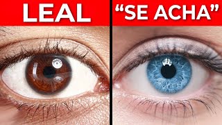 Isto é o que a cor dos seus olhos diz sobre você [upl. by Assil]