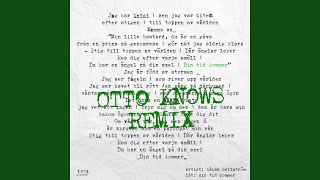 Din tid kommer Otto Knows Remix [upl. by Lednew]