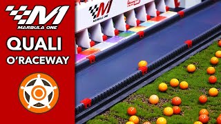 🏁 Marbula One S4 GP2 🏁 Oraceway 🍊 QUALIFYING  Jelles Marble Runs [upl. by Adas]