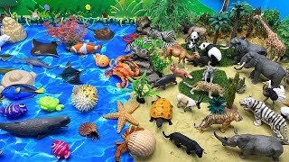 Sea Animals And Safari Animal  Diorama for animals  Kids Craft  Whale Shark Crab Fish [upl. by Aizirtap718]