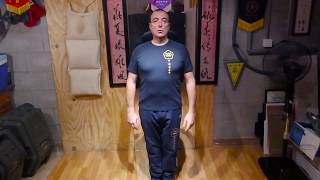 Simply Wing Chun Kuen  Siu Nim Tao part 1 2017 [upl. by Onitsuj]