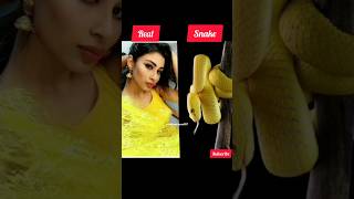 Nagin Real and snake modelnaagin nagin mouniroy [upl. by Ahsilyt]