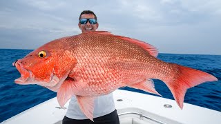 Floridas MOST Controversial Fish Catch and Cook Red Snapper [upl. by Berna]