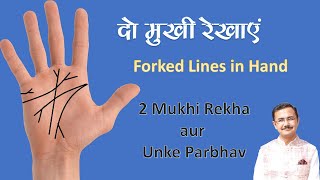 दो शाखा वाली रेखाओं का फल कैसे करें  2 mukhi rekha  biforked  lines on palm and their effects [upl. by Radmilla134]