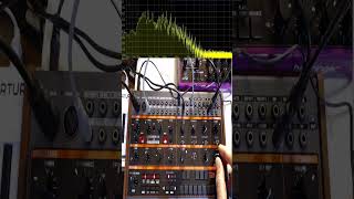 Behringer Grind Model Modulating Properly Short 1  synthesizer dawless synthjam [upl. by Jacobson]