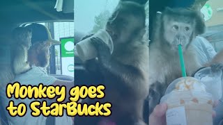 Gaitlyn Rae Gets A MonkChino From Starbucks Drive Thru [upl. by Aryamo]