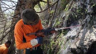 FORSTWIRTE IM EINSATZ  FOLGE 36 Einsatz in 4 Wäldern [upl. by Ayhay]