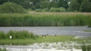 Hickling Broad Time Lapse [upl. by Ollehcram809]