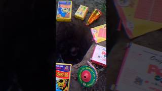 Different Types of Diwali Unique Crackers Testing In Hole  2024 💀 POV Crackers Chorsa  BIDI Bomb [upl. by Golanka]