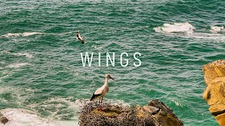 Wings  Romantic Orchestral Music  Rota Vicentina Portugal  ASKII [upl. by Annmaria334]