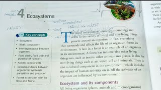 ECOSYSTEMS  PRODUCERS  CONSUMERS  DECOMPOSERS  HERBIVORES  CARNIVORES  OMNIVORES  BIOTIC [upl. by Ylluz]