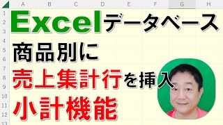 【Excelデータベース 徹底解説】商品別に売上集計行を挿入する方法 小計機能 [upl. by Ethel]