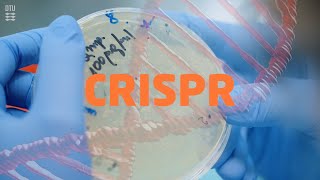 Hvad er CRISPR [upl. by Avle]