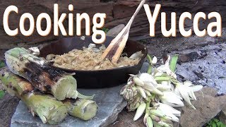 Cooking Yucca From Field to Fire Desert Survival [upl. by Nwadrebma]