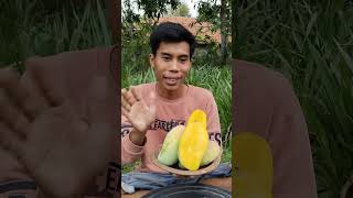 petik buah mangga yang masih segar shortvideo [upl. by Ezaria274]