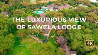 The luxurious Sawela Lodge [upl. by Nelag]