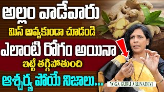 అల్లం ఇలా వాడితే రోగాలు లేకుండా బతకొచ్చు  Aruna Devi Yoga about Ginger Amazing Benefits  kneepain [upl. by Abihsot]