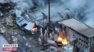 新発田市の養豚場で火事 少なくとも豚舎3棟で飼育されていた約1600頭が死ぬ UXニュース12月2日OA [upl. by Richmound250]