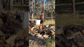 One Chop ONLY woodchopping woodgirl axe climbing woodworkinggirl onechop choppingqueen [upl. by Euqinomahs]