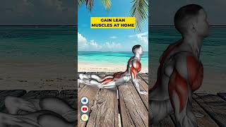 The BEST Full Body Exercises for Fat Loss [upl. by Eidde528]