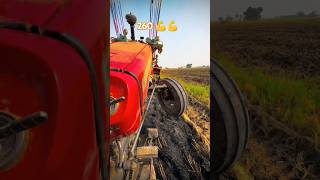 Massey 260 power with Lord troli  tractor buri tharha phas gaya 😂😂  tractor video tractorvideo [upl. by Lativa872]