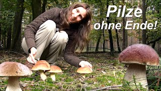 PilzSchwemme Pilze ohne Ende [upl. by Winonah]