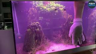 Quels accessoires choisir pour entretenir mon aquarium [upl. by Buttaro891]