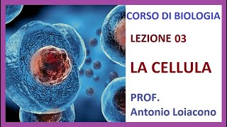 CORSO DI BIOLOGIA  Lezione 03  La Cellula [upl. by Alemak485]