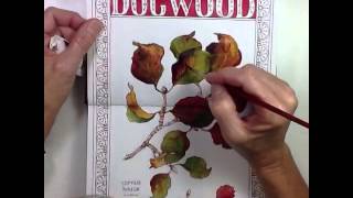 Dogwood Watercolor Speed Painting [upl. by Leveridge]