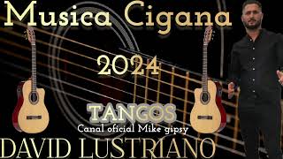 MUSICA CIGANA 2024 DAVID LUSTRIANO rumbaportuguesa musicacigana [upl. by Holloway799]