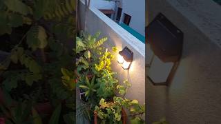 SOLAR LIGHTS solarlight solarlights installation gardendecor gardendecorideas mygardenview [upl. by Nylrak]